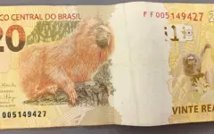 Cédula de R$ 20 sobre fundo neutro, representando o dinheiro do FGTS usado como garantia em uma operação de crédito