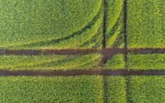 Campo agrícola cultivado visto em perspectiva, representando o imóvel rural declarado no ITR 2026.