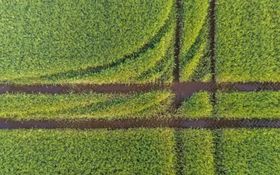 Campo agrícola cultivado visto em perspectiva, representando o imóvel rural declarado no ITR 2026.