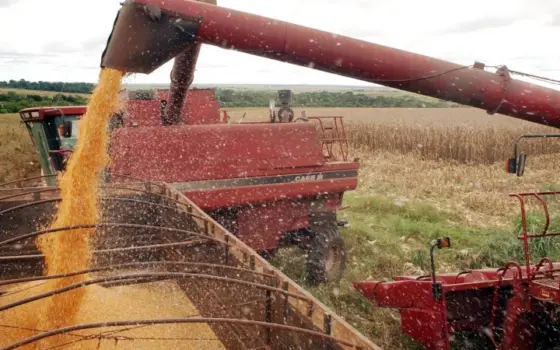 Colheitadeira trabalhando em plantação de cereal no Brasil.