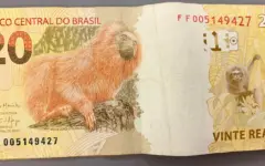 Cédulas de real brasileiro em close, representando crédito e fluxo de caixa para empresas