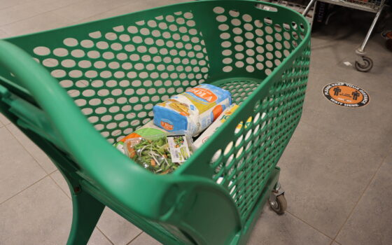 Carrinho de compras diante de prateleiras de supermercado