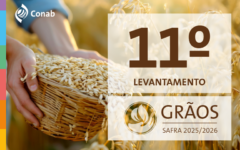 Lavoura de grãos em campo aberto, imagem usada pela Conab para divulgar a estimativa da safra brasileira 2025/26