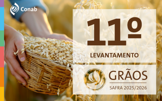 Lavoura de grãos em campo aberto, imagem usada pela Conab para divulgar a estimativa da safra brasileira 2025/26