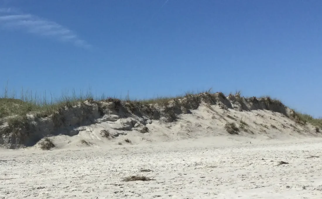 Praia de areia branca em dia ensolarado