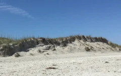 Praia de areia branca em dia ensolarado