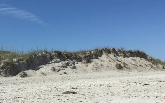 Praia de areia branca em dia ensolarado