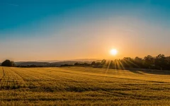 Campo agrícola em produção ao pôr do sol